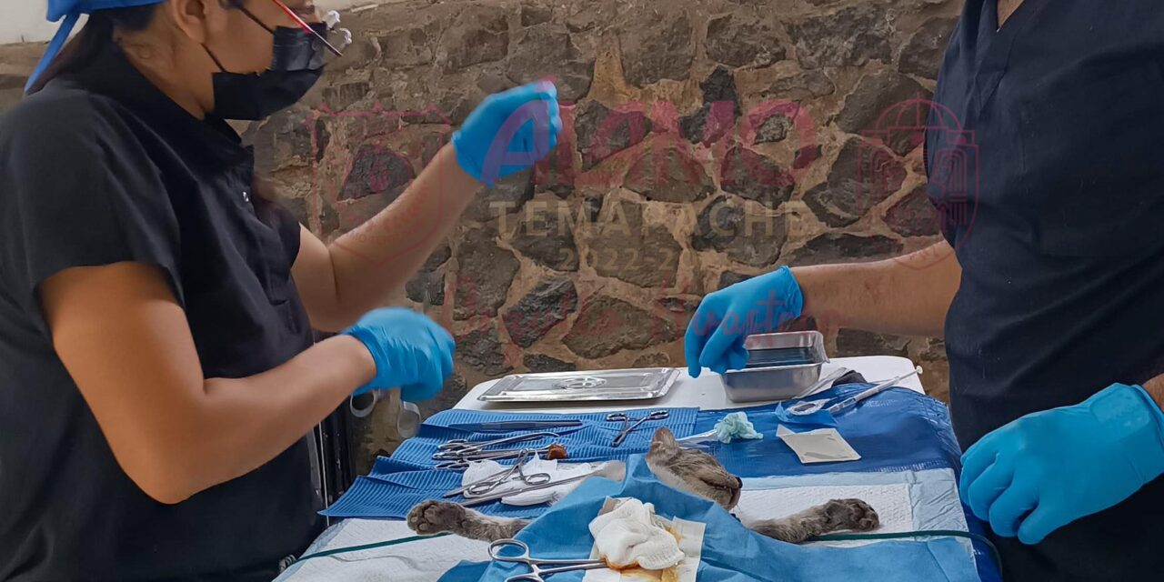 Concluyen con Éxito las Jornadas de Esterilización 2025 en Álamo