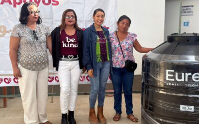 DIF Municipal de Álamo entrega apoyos subsidiados