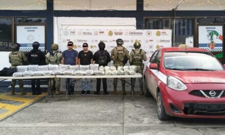 Asegura SSP 22 vehículos y decomisa probables estupefacientes