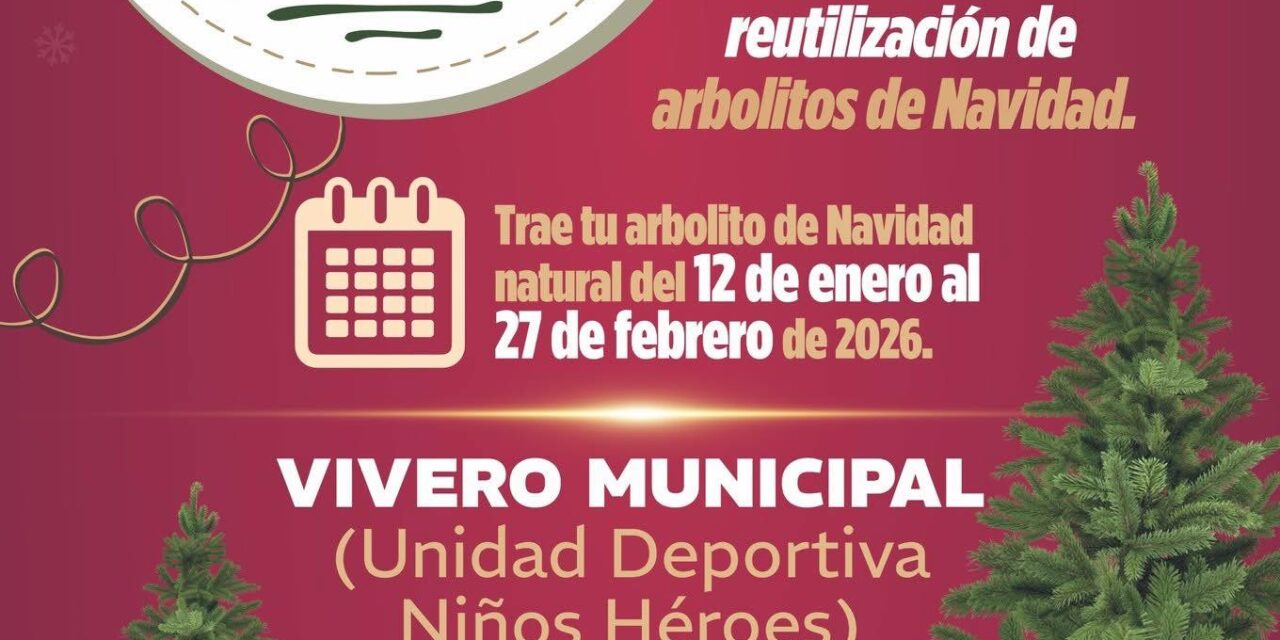 Invitan a reciclar árboles navideños en Naranjos Amatlán