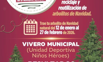 Invitan a reciclar árboles navideños en Naranjos Amatlán