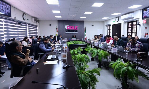 OPLE Veracruz aprobó los formatos y diseños de la documentación electoral, para el Proceso Electoral Local Extraordinario 2026 en el municipio de Tamiahua