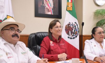 Se suma Veracruz a la Estrategia Nacional de Atención al Sarampión: Gobernadora